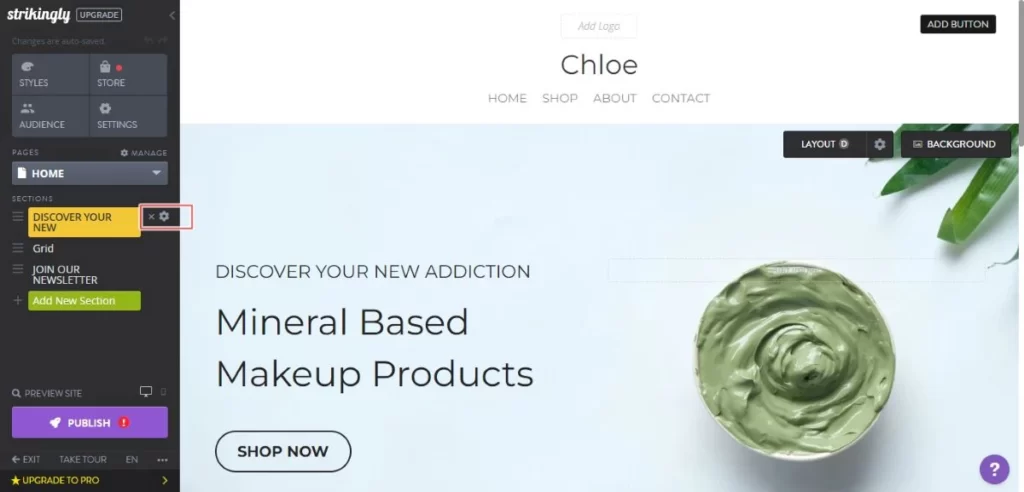 Strikingly Website Editor